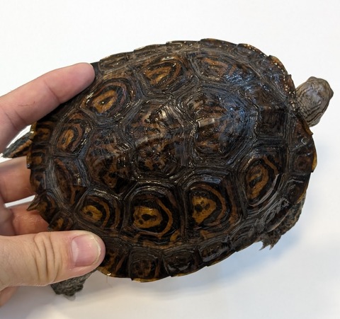 PXL_20260128_082441792~2