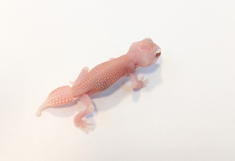 PXL_20251003_093831475~2