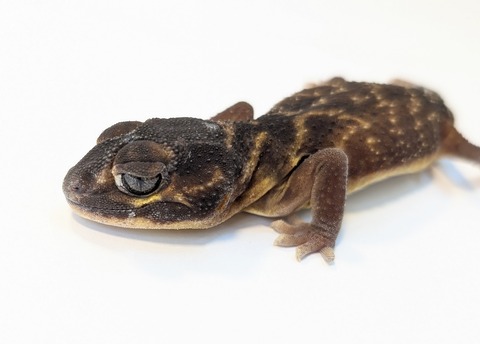 PXL_20250504_110005322~2