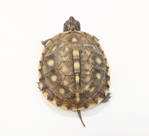 PXL_20251103_100915286~2