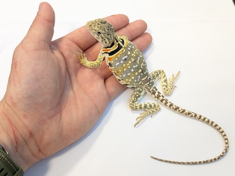 PXL_20250623_103338017~2