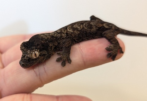 PXL_20251122_045801205~2