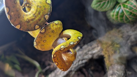 PXL_20251230_115950649