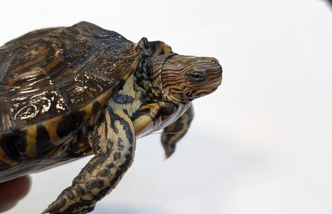 PXL_20260128_082446265~2