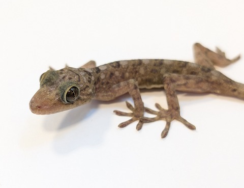 PXL_20250401_101359297~2