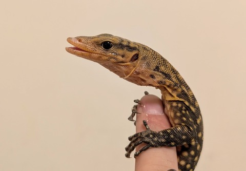 PXL_20260101_084342781~2