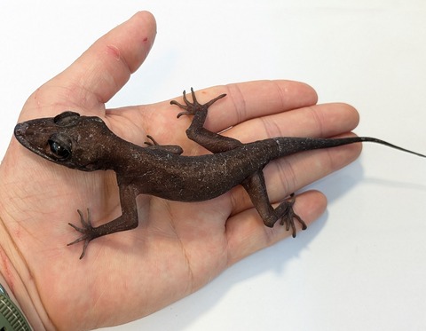 PXL_20250623_101654418~3