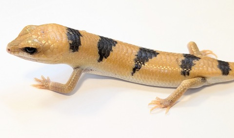 PXL_20250504_111332174~2