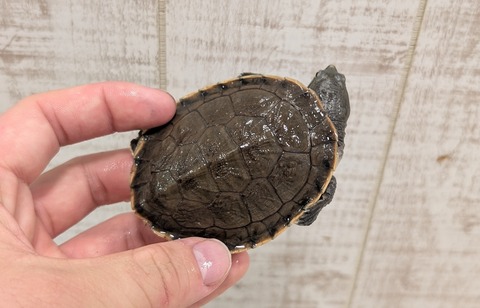 PXL_20251121_082921985