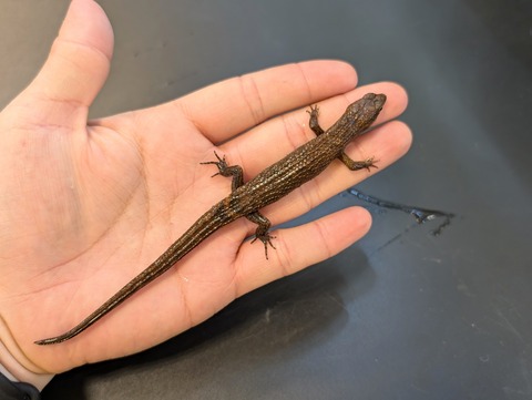 PXL_20241228_094459853~2