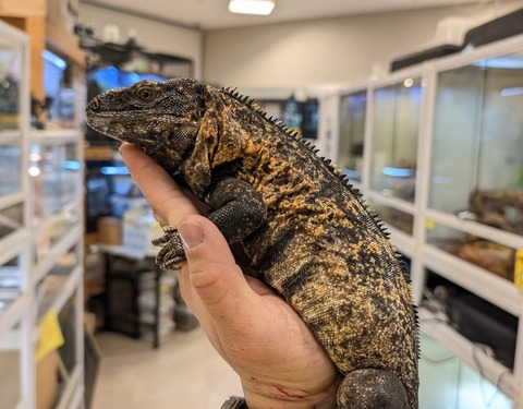 PXL_20260122_091538508~2