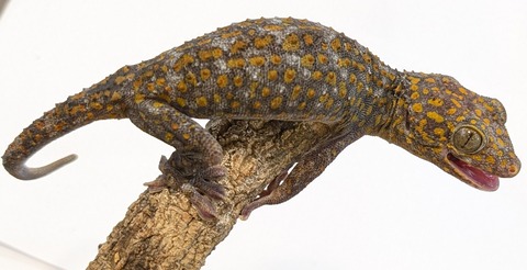 PXL_20251104_110837634~2