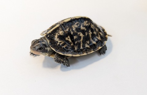 PXL_20251210_070126979~2