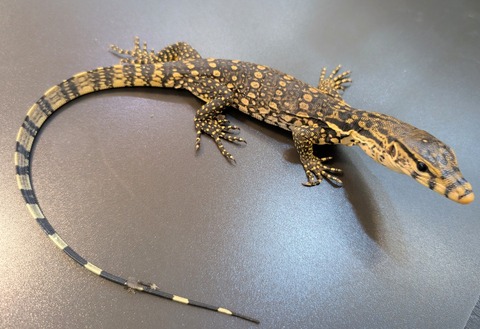 PXL_20250130_085345803~2