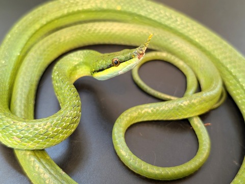 PXL_20241228_094820248~2