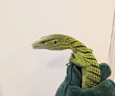 PXL_20250106_104650680~2