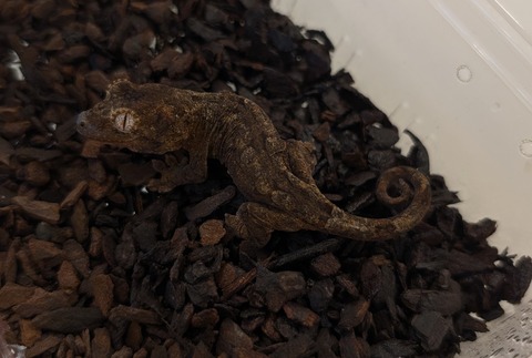 PXL_20260101_101720178~2