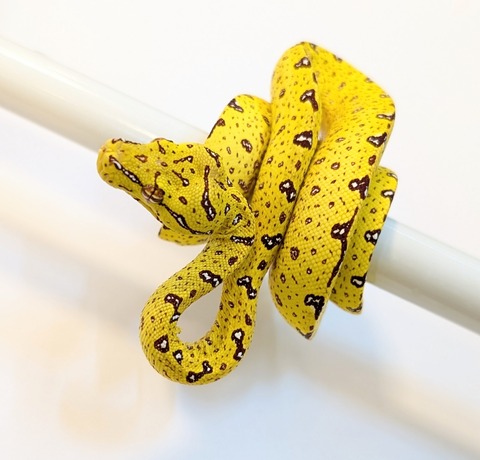 PXL_20250424_093225018~2