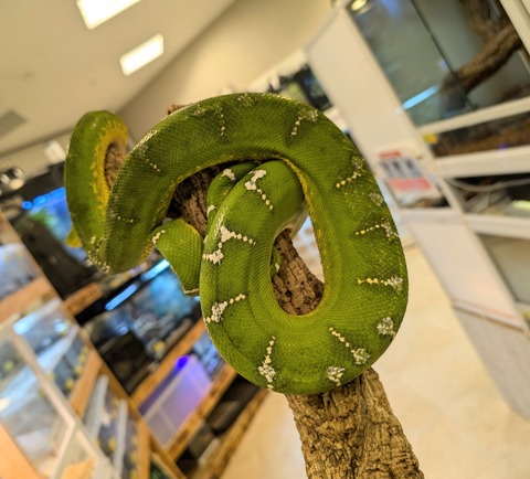 PXL_20241224_110829888~2