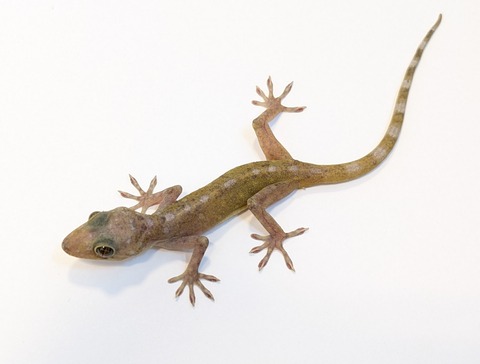 PXL_20250401_101232810~2