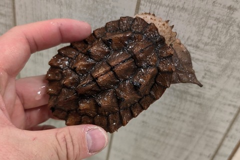 PXL_20260103_091615038~2