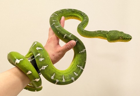 PXL_20250920_112519358~2