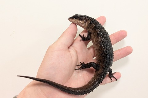 PXL_20251020_085627337