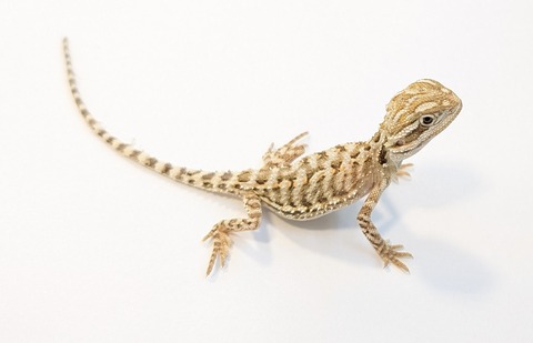 PXL_20251104_105428359~2