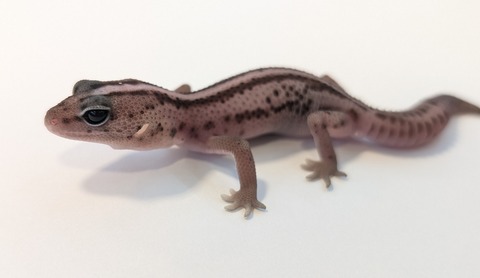 PXL_20250919_115433502~2