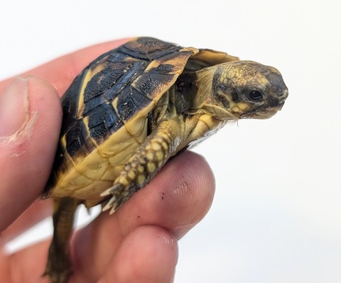 PXL_20251105_055253771~2