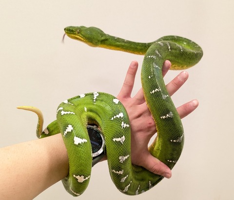 PXL_20250920_112456702~2