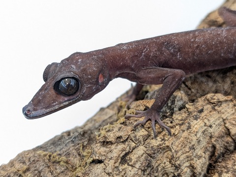 PXL_20250623_101536725~2