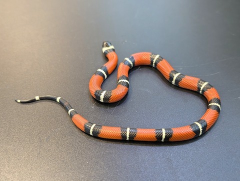 PXL_20241218_111317499~2