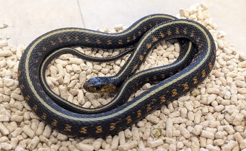 PXL_20250919_065914598~2