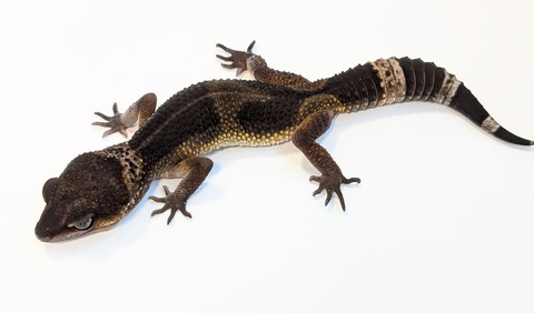 PXL_20250513_091049768~2