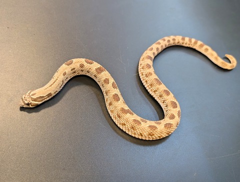 PXL_20250106_104004569~2