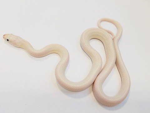 PXL_20250716_083211364~2