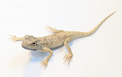 PXL_20250504_110223405~2