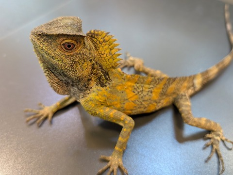 PXL_20250130_085707479~2