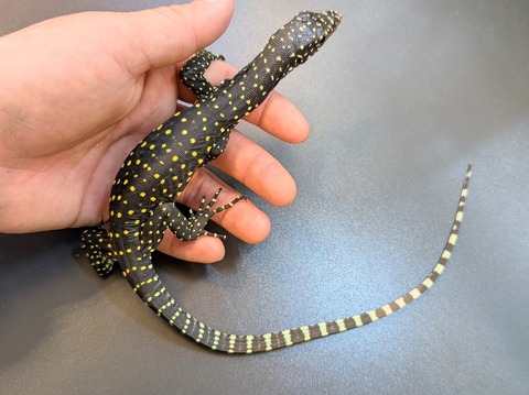 PXL_20250130_084944285~2