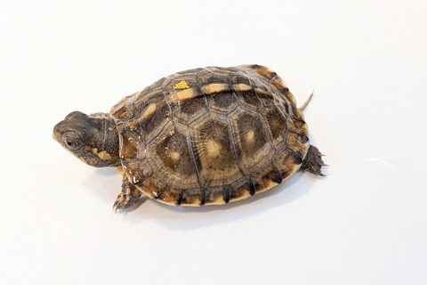 PXL_20251103_100600169~2