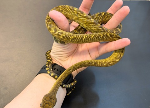 PXL_20250106_095904720~2