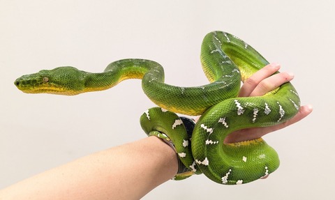 PXL_20250905_065545143~2