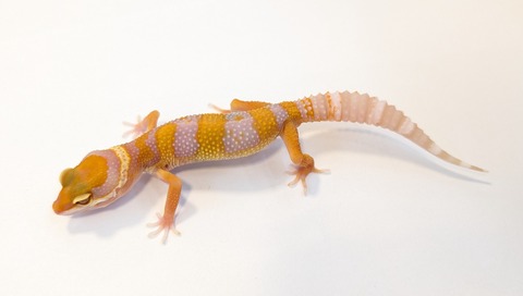 PXL_20251124_110806762