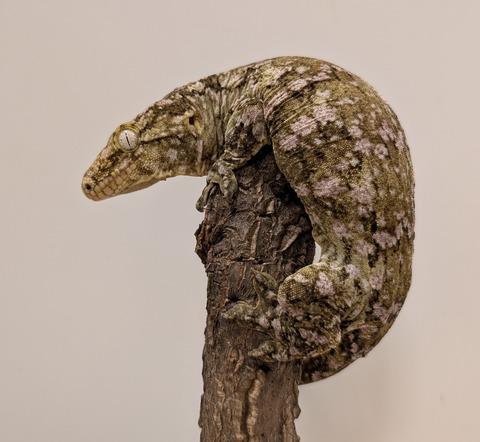 PXL_20250620_132347999~2