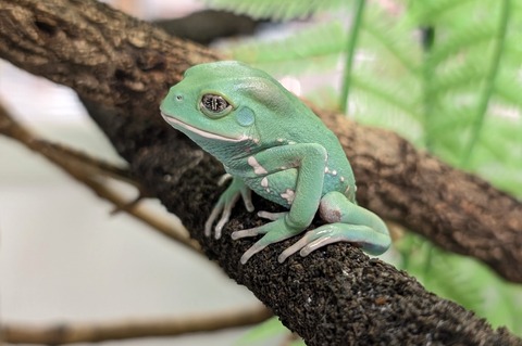 PXL_20251104_105542291~2