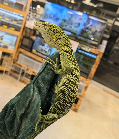 PXL_20250106_104817611~2