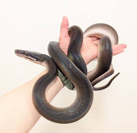 PXL_20250707_110442871~2