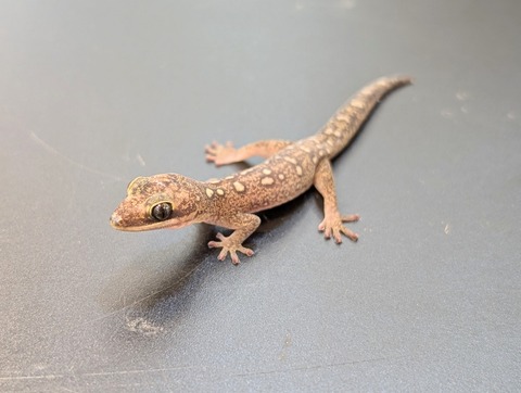 PXL_20250106_103448855~2