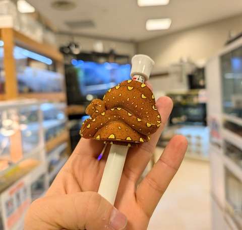 PXL_20241224_111352685~2